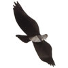 Jackite Black Bird Kite / Windsock