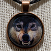 Wolf - Back Off - 1" Pendant w/ Black Necklace