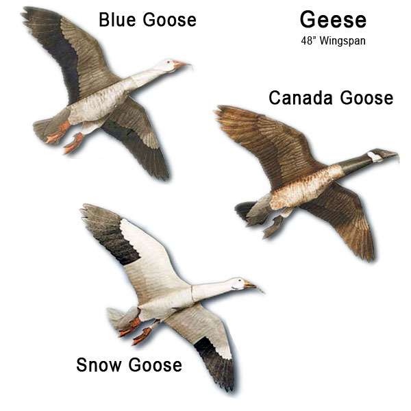 Jackite 3 Geese Decoys - You Choose Geese - Click Image to Close