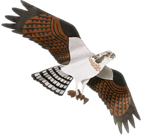 Windsock Jackite Bald Eagle Kite 