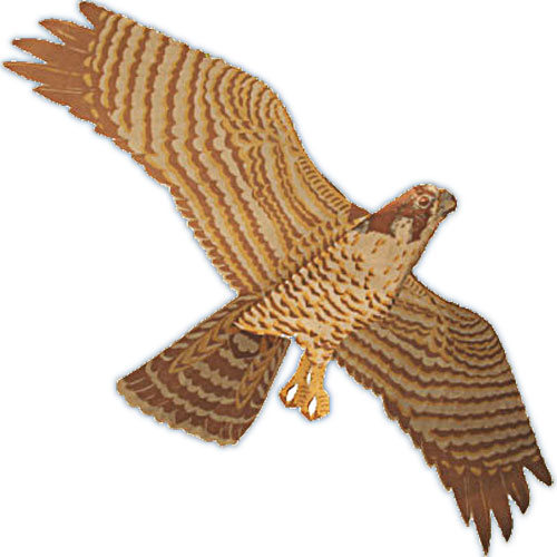 Jackite Peregrine Falcon Kite / Windsock - Click Image to Close