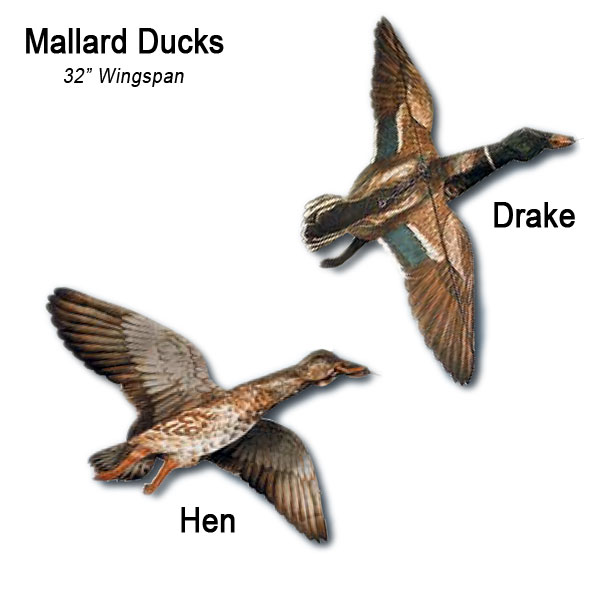 (image for) Jackite Three Mallard Ducks Decoy Set - You Choose which Ducks