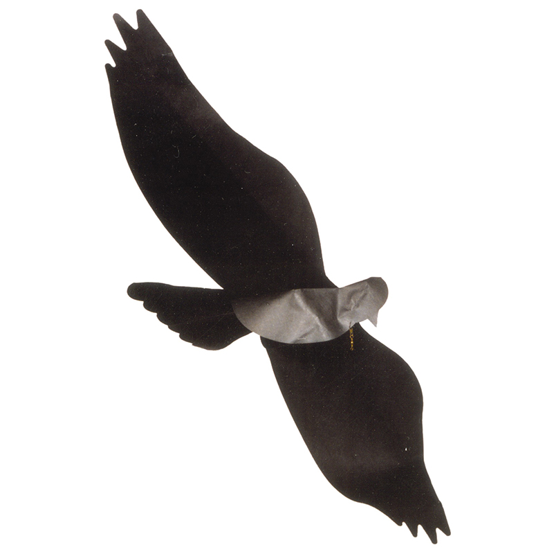 (image for) Jackite Black Bird Kite / Windsock