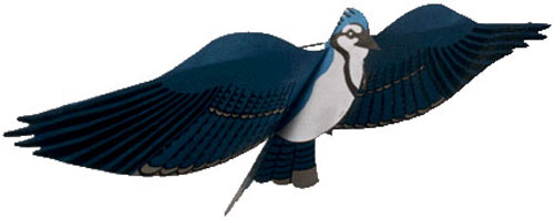 (image for) Jackite Blue Jay Kite / Windsock