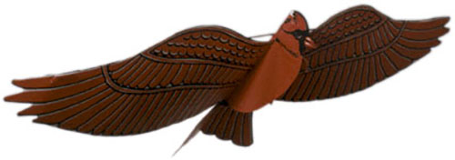 (image for) Jackite Cardinal Kite / Windsock