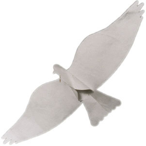 (image for) Jackite Create-A-Bird Kite / Windsock