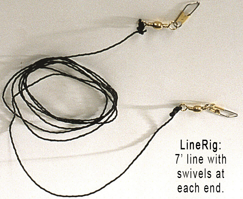 (image for) Jackite LineRig for Windsocks