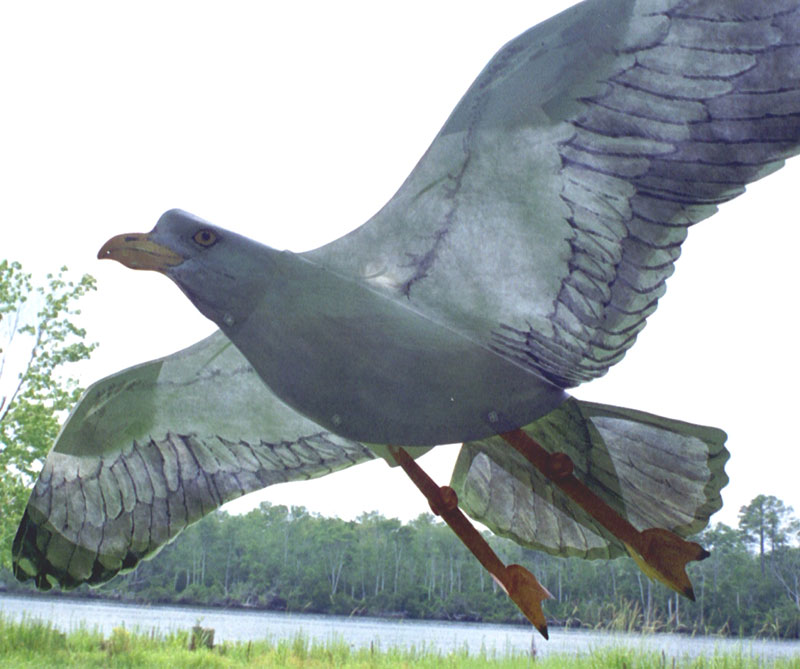 A generic image